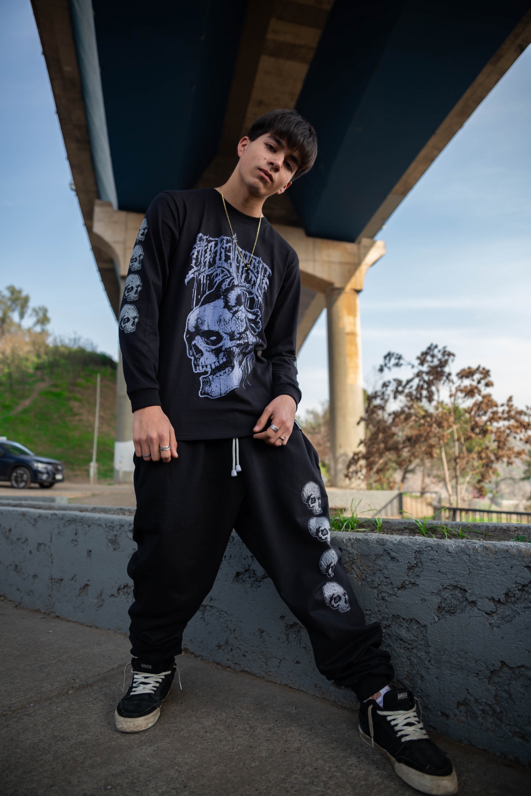 Polera Manga Larga Skullheart